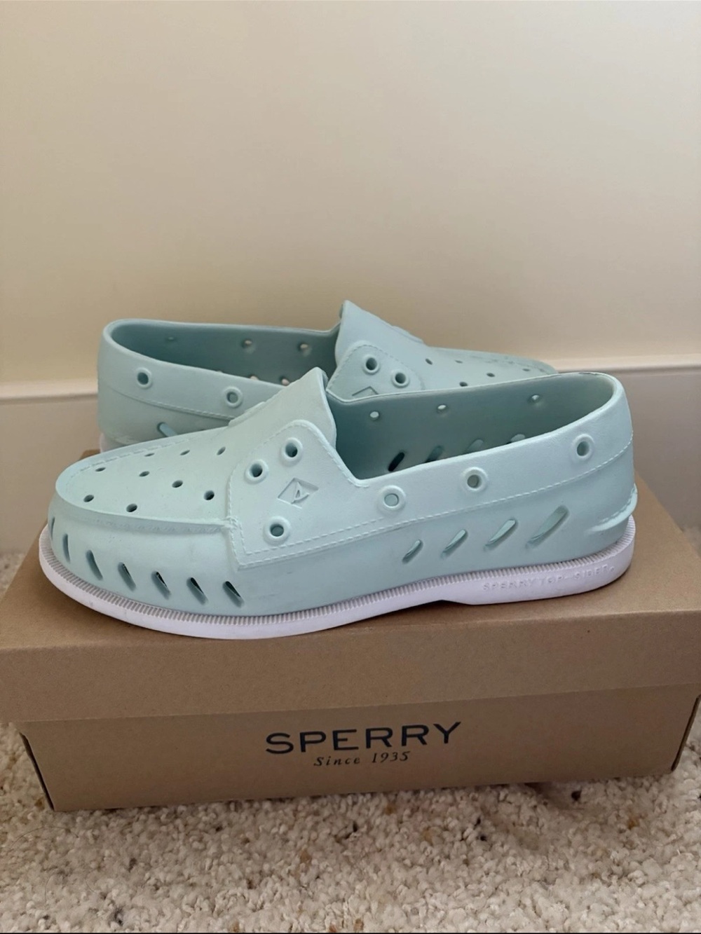 Sperry Light Blue Slip-On A/O Float Boat Shoes